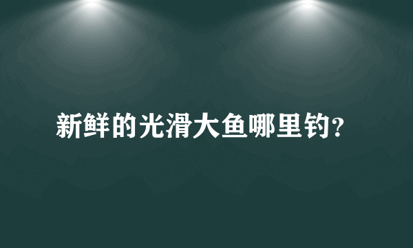 新鲜的光滑大鱼哪里钓？