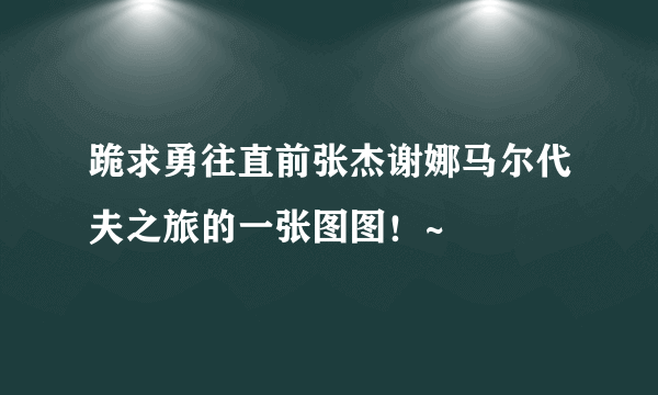 跪求勇往直前张杰谢娜马尔代夫之旅的一张图图！~