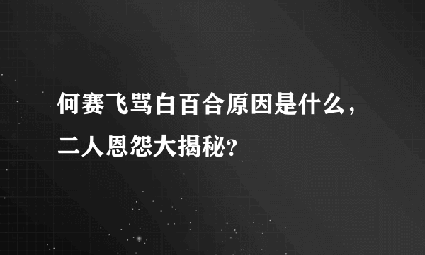 何赛飞骂白百合原因是什么，二人恩怨大揭秘？