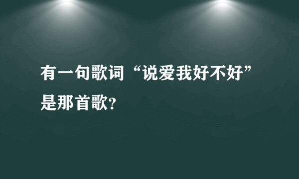 有一句歌词“说爱我好不好”是那首歌？