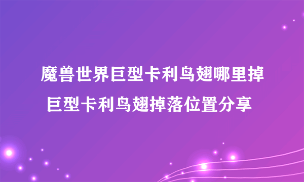 魔兽世界巨型卡利鸟翅哪里掉 巨型卡利鸟翅掉落位置分享