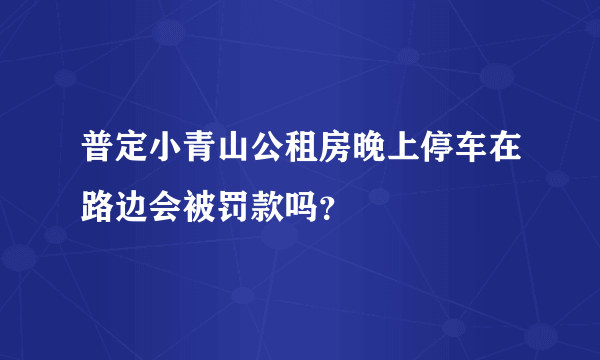 普定小青山公租房晚上停车在路边会被罚款吗？