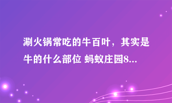 涮火锅常吃的牛百叶，其实是牛的什么部位 蚂蚁庄园8月15日答案最新