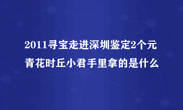 2011寻宝走进深圳鉴定2个元青花时丘小君手里拿的是什么