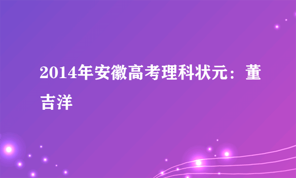 2014年安徽高考理科状元：董吉洋