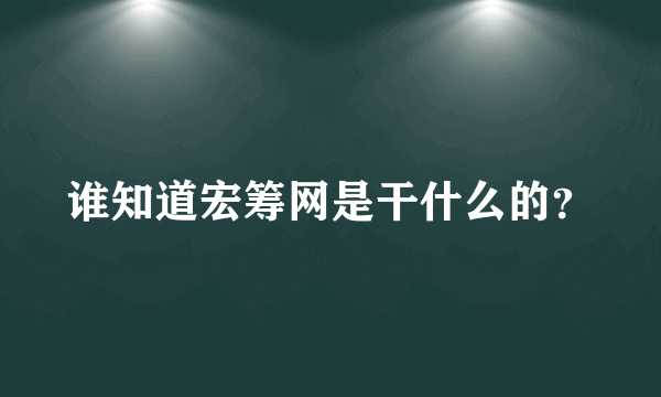 谁知道宏筹网是干什么的？