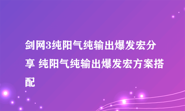 剑网3纯阳气纯输出爆发宏分享 纯阳气纯输出爆发宏方案搭配