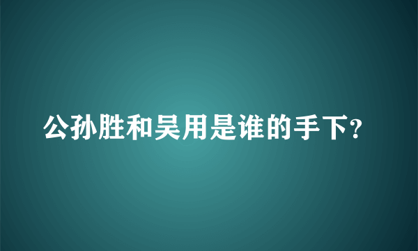 公孙胜和吴用是谁的手下？