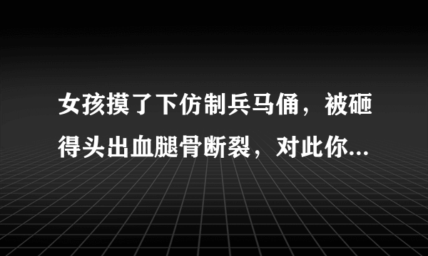 女孩摸了下仿制兵马俑，被砸得头出血腿骨断裂，对此你怎么看？