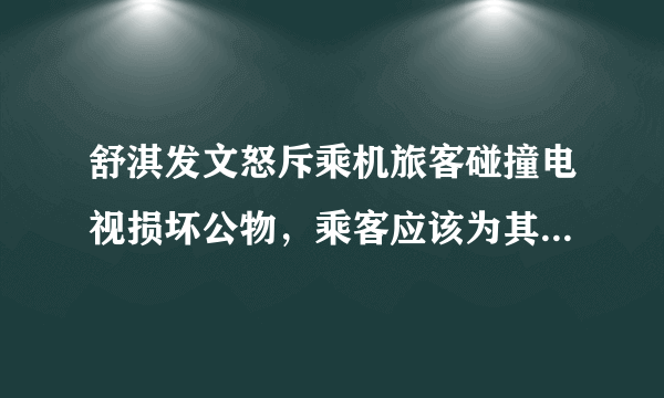 舒淇发文怒斥乘机旅客碰撞电视损坏公物，乘客应该为其不文明行为负责么？