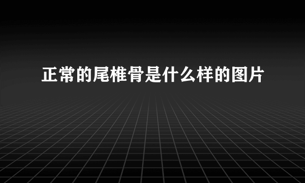 正常的尾椎骨是什么样的图片