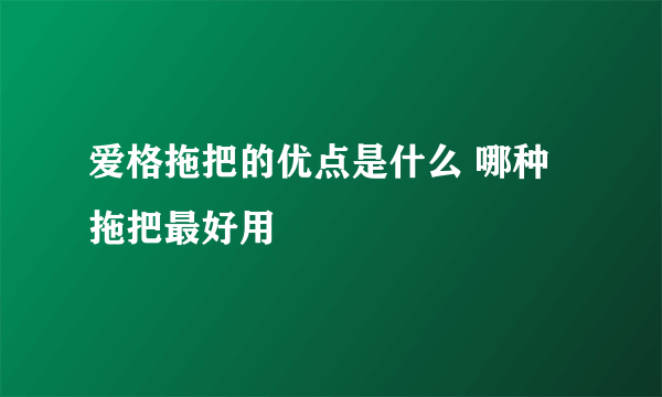 爱格拖把的优点是什么 哪种拖把最好用