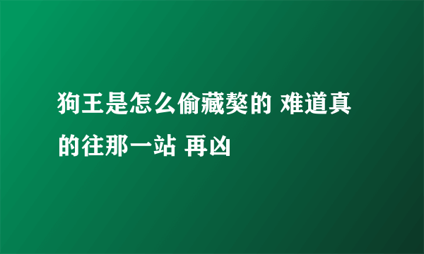 狗王是怎么偷藏獒的 难道真的往那一站 再凶