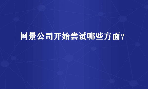 网景公司开始尝试哪些方面？