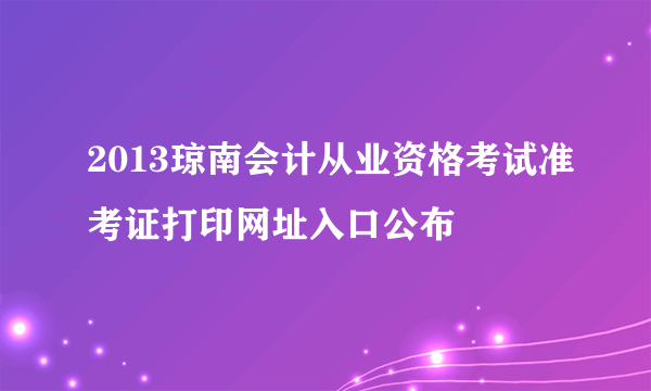 2013琼南会计从业资格考试准考证打印网址入口公布