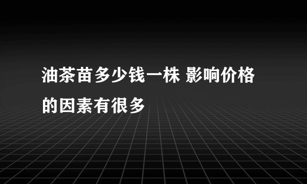 油茶苗多少钱一株 影响价格的因素有很多