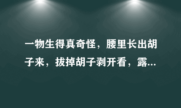 一物生得真奇怪，腰里长出胡子来，拔掉胡子剥开看，露出牙齿一排排(打一植物)