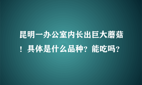 昆明一办公室内长出巨大蘑菇！具体是什么品种？能吃吗？