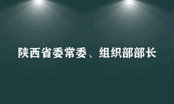 陕西省委常委、组织部部长