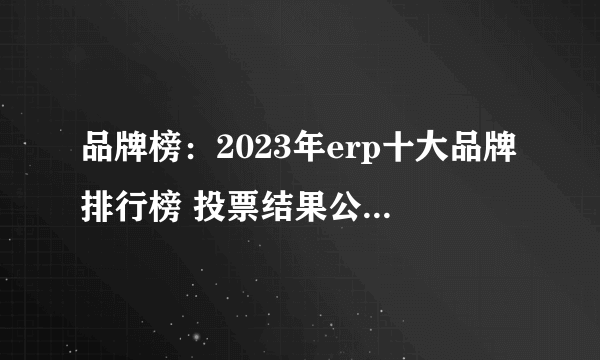 品牌榜：2023年erp十大品牌排行榜 投票结果公布【新】