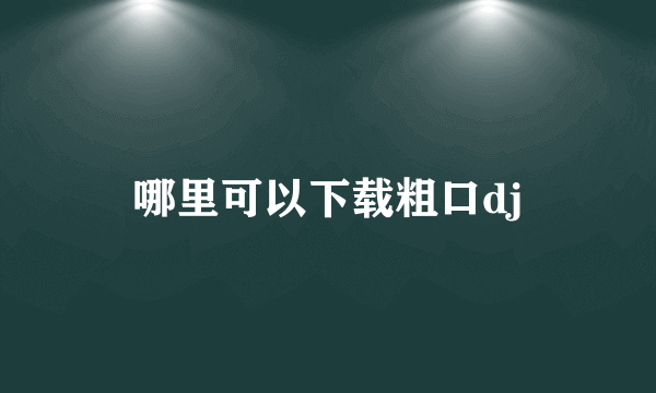 哪里可以下载粗口dj