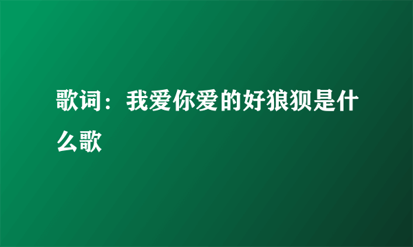 歌词：我爱你爱的好狼狈是什么歌