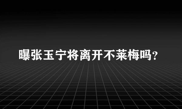 曝张玉宁将离开不莱梅吗？