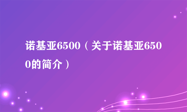 诺基亚6500（关于诺基亚6500的简介）