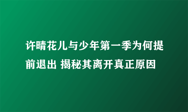 许晴花儿与少年第一季为何提前退出 揭秘其离开真正原因