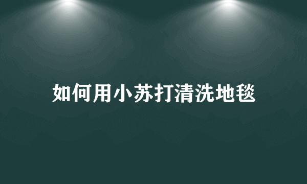 如何用小苏打清洗地毯