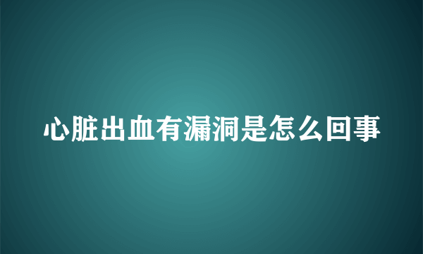 心脏出血有漏洞是怎么回事