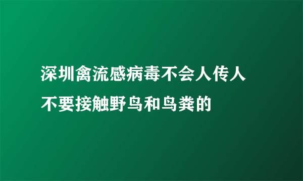 深圳禽流感病毒不会人传人 不要接触野鸟和鸟粪的