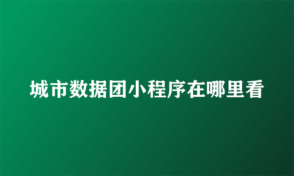 城市数据团小程序在哪里看