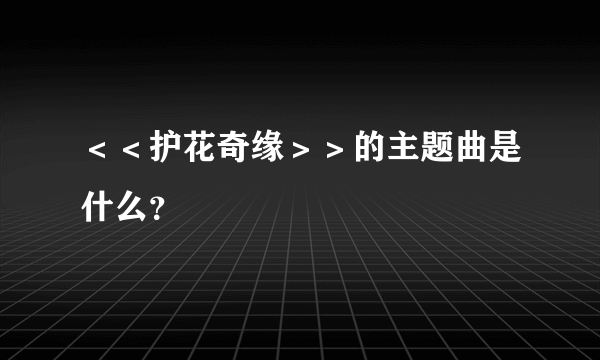 ＜＜护花奇缘＞＞的主题曲是什么？