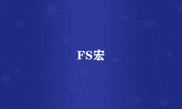 FS宏