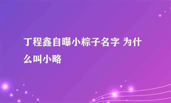 丁程鑫自曝小粽子名字 为什么叫小略