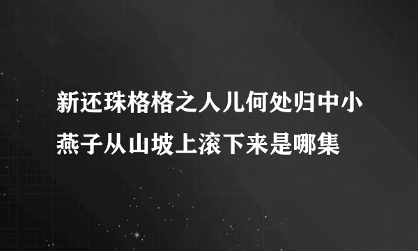 新还珠格格之人儿何处归中小燕子从山坡上滚下来是哪集