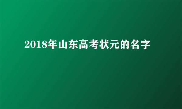 2018年山东高考状元的名字