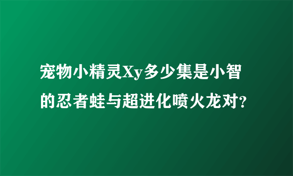 宠物小精灵Xy多少集是小智的忍者蛙与超进化喷火龙对？