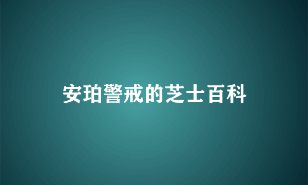 安珀警戒的芝士百科