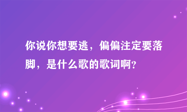 你说你想要逃，偏偏注定要落脚，是什么歌的歌词啊？