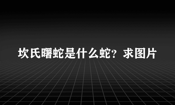 坎氏曙蛇是什么蛇？求图片