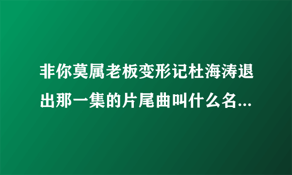 非你莫属老板变形记杜海涛退出那一集的片尾曲叫什么名啊？？？