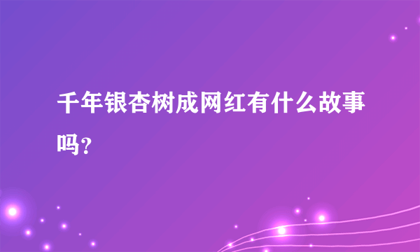 千年银杏树成网红有什么故事吗？