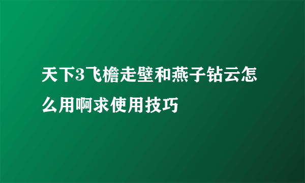 天下3飞檐走壁和燕子钻云怎么用啊求使用技巧