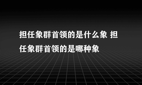 担任象群首领的是什么象 担任象群首领的是哪种象