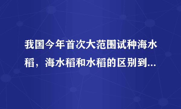 我国今年首次大范围试种海水稻，海水稻和水稻的区别到底有哪些？