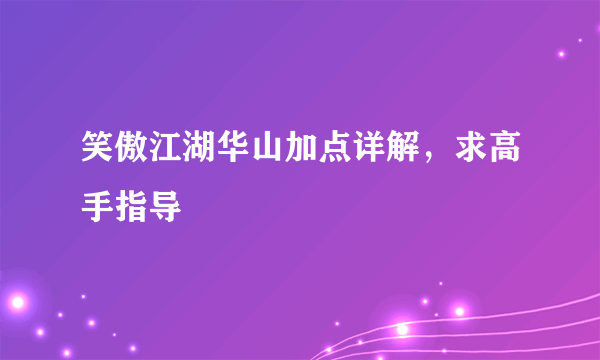 笑傲江湖华山加点详解，求高手指导