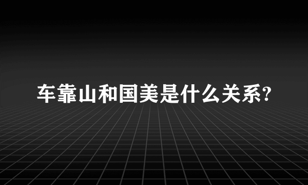 车靠山和国美是什么关系?