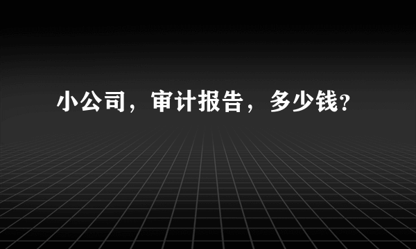 小公司，审计报告，多少钱？